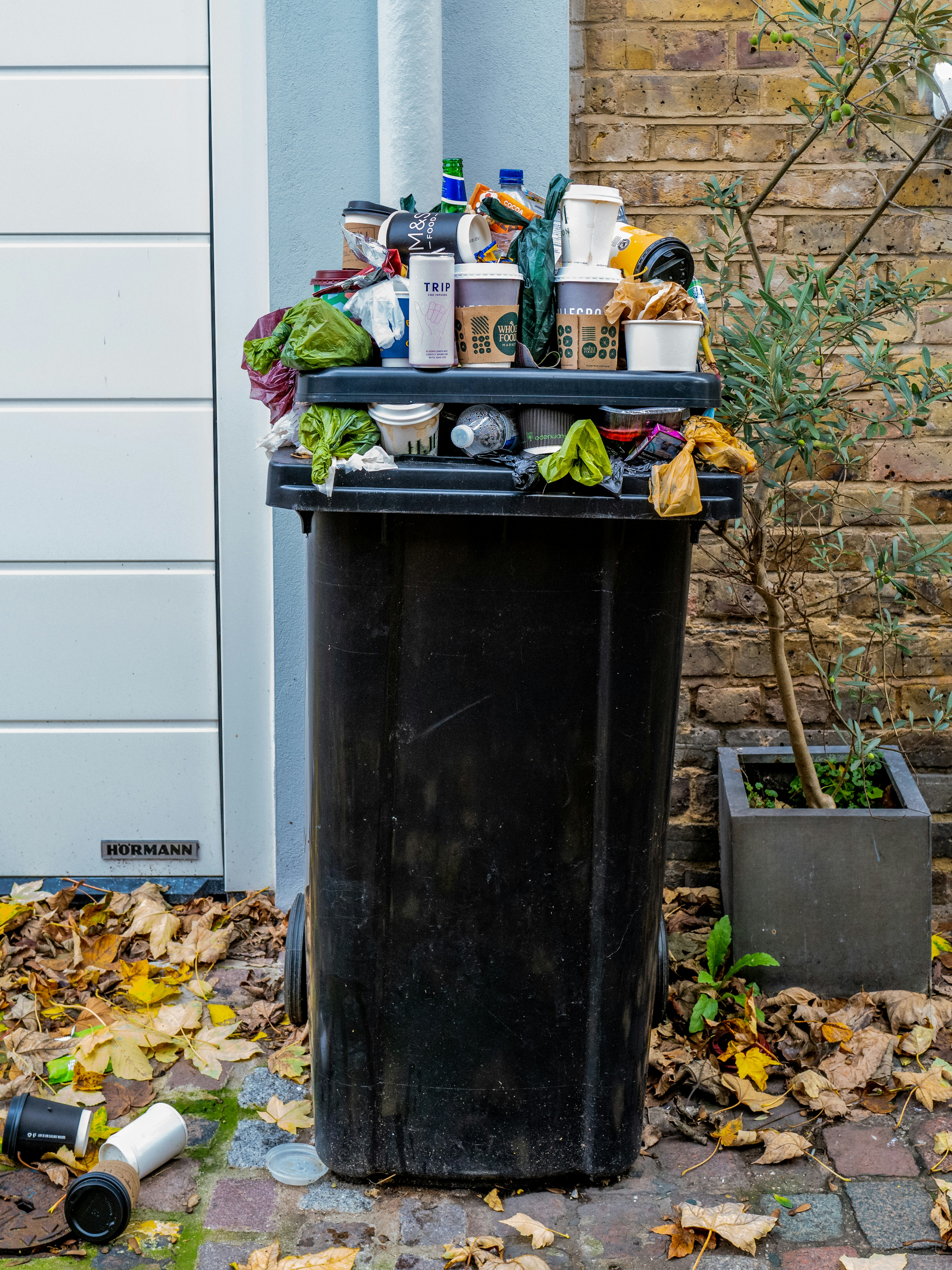 Sustainable Practices